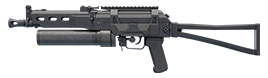 PP19