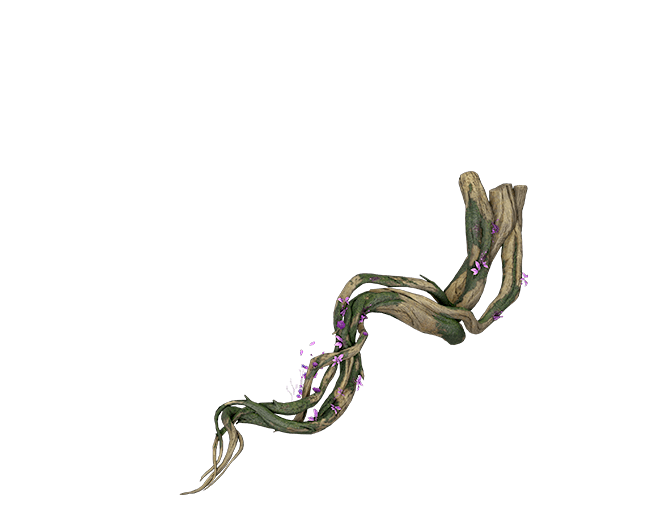 s3_pic5