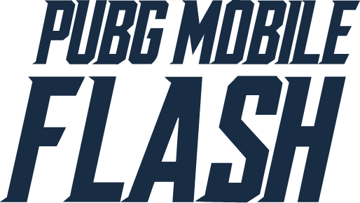 PUBG MOBILE FLASH
